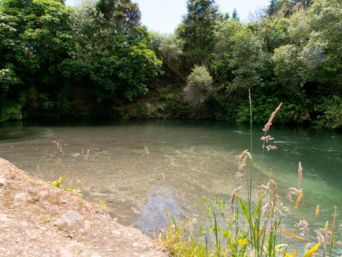 Bellbird Cottage - Lake Taupo Bach Waitahanui Bagian luar foto